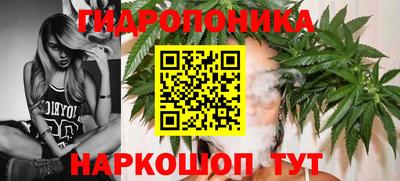 марки nbome Кингисепп