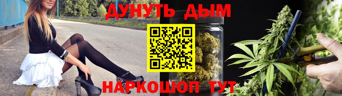 Каннабис планчик  Канабис сатива  Вход с VPN  Бошки Шишки SATIVA & INDICA  Королёв 